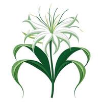 Intricate Details of a Spider Lily Plant in a Natural Setting with Wildflowers and Butterflies vector