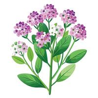 Intricate Details of a Sweet Alyssum Plant in a Natural Setting with Wildflowers and Butterflies vector