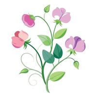 Intricate Details of a Sweet Pea Plant in a Natural Setting with Wildflowers and Butterflies Isollated on a White Background vector