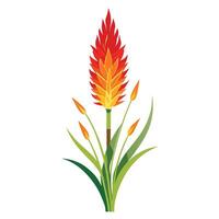 Vibrant Torch Lily Plant with Brightly Colored Flowers and Leaves in a Natural Setting vector