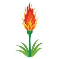 Botanical Depiction of a Torch Lily Plant in Full Bloom with Green Leaves and Stems vector
