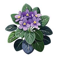 Intricate Details of an African Violet Plant in a Natural Setting with Wildflowers and Butterflies vector