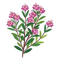 Intricate Details of a Waxflower Plant in a Natural Setting with Wildflowers and Butterflies vector