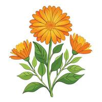 Intricate Details of a Calendula Plant in a Natural Setting with Wildflowers and Butterflies vector