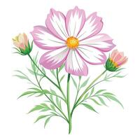 Intricate Details of a Cosmos Flower in a Natural Setting with Wildflowers and Butterflies Isollated on a White Background vector