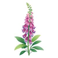Intricate Details of a Foxglove Plant in a Natural Setting with Wildflowers and Butterflies Isollated on a White Background vector