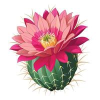 Cactus Flower with Purple Petals and Green Leaves in a Garden Setting vector