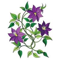 Clematis Vine with Yellow Flowers and Green Leaves in a Garden Setting vector