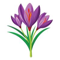 Intricate Details of a Saffron Crocus Plant in a Natural Setting with Wildflowers and Butterflies vector