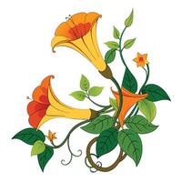 Intricate Details of a Trumpet Vine in a Natural Setting with Wildflowers and Butterflies Isollated on a White Background vector