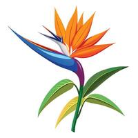 Intricate Details of a Bird of Paradise Flower in a Natural Setting with Wildflowers and Butterflies vector