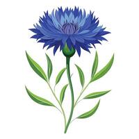 Intricate Details of a Cornflower Plant in a Natural Setting with Wildflowers and Butterflies vector