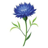 Vibrant Cornflower Plant with Brightly Colored Flowers and Leaves in a Natural Setting vector