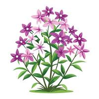 Intricate Details of a Creeping Phlox Plant in a Natural Setting with Wildflowers and Butterflies vector