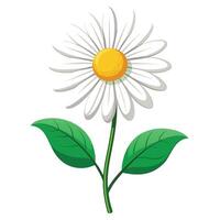 Intricate Details of a Daisy Plant in a Natural Setting with Wildflowers and Butterflies vector