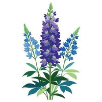 Vibrant Delphinium Plant with Brightly Colored Flowers and Leaves in a Natural Setting vector