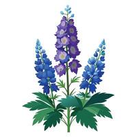 Botanical Illustration of a Delphinium Plant in Full Bloom with Green Leaves and Stems vector