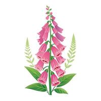Vibrant Foxglove Plant with Brightly Colored Flowers and Leaves in a Natural Setting Isollated on White Background vector