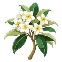 Vibrant Frangipani Plant with Brightly Colored Flowers and Leaves in a Natural Setting vector