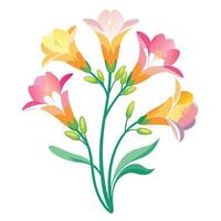 Vibrant Freesia Plant with Brightly Colored Flowers and Leaves in a Natural Setting Isollated on White Background vector
