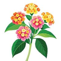 Lantana Plant with Yellow Flowers and Green Leaves in a Garden Setting vector
