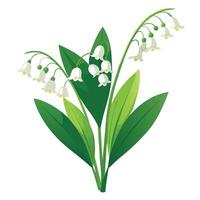 Lily of the Valley Plant with Yellow Flowers and Green Leaves in a Garden Setting vector