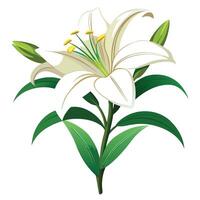 Beautiful Passion Lily with Exotic Shape and Colorful Petals vector