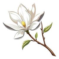 Star Magnolia Flower with Yellow Petals and Green Leaves in a Garden Setting vector