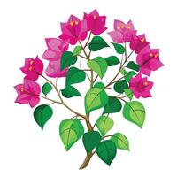 Bougainvillea with Purple Petals and Green Leaves in a Garden Setting vector