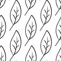 Seamless black and white hand-drawn leaf pattern featuring leaf shapes in a minimalist doodle style, perfect for coloring pages, fabric prints, eco-designs, stationery, backgrounds vector