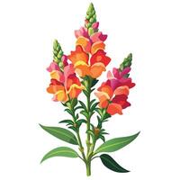 Vibrant Snapdragon Flower with Brightly Colored Petals and Leaves in a Natural Setting vector