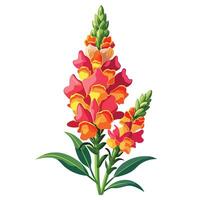 Intricate Details of a Snapdragon Flower in a Natural Setting with Wildflowers and Butterflies vector