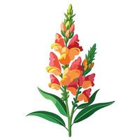 Beautiful Snapdragon Flower with Delicate Petals and Leaves vector