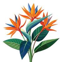 Intricate Details of a Bird of Paradise Plant in a Natural Setting with Wildflowers and Butterflies Isollated on White Background vector