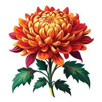 Intricate Details of a Chrysanthemum Plant in a Natural Setting with Wildflowers and Butterflies vector