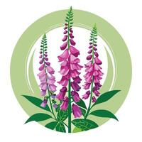 Botanical Rendering of a Foxglove Plant in Full Bloom with Green Leaves and Stems vector