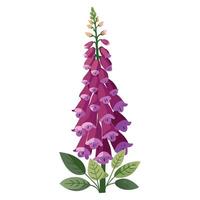 Intricate Details of a Foxglove Plant in a Natural Setting with Wildflowers and Butterflies in a Garden with a Pond vector