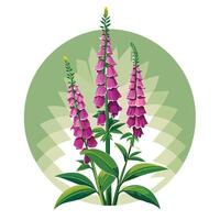 Vibrant Foxglove Plant with Brightly Colored Flowers and Leaves in a Natural Setting Isollated with White Background vector