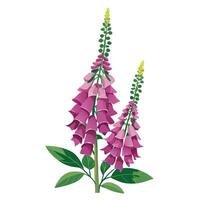 Vibrant Foxglove Plant with Brightly Colored Flowers and Leaves in a Natural Setting with a Garden Statue vector