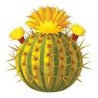 Botanical Rendering of a Golden Barrel Cactus in Full Bloom with Green Leaves and Stems vector