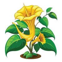 Botanical Rendering of a Golden Chalice Vine in Full Bloom with Green Leaves and Stems vector