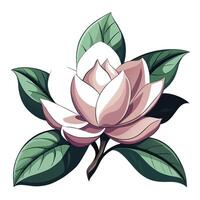 Beautiful Magnolia Flower with Large Petals and Leaves vector