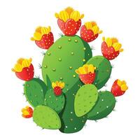 Detailed Illustration of a Prickly Pear Cactus with White Petals and Long Stems vector