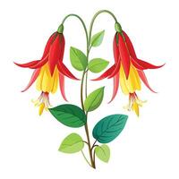 Beautiful Wild Columbine Plant with Red Flowers and Green Leaves vector