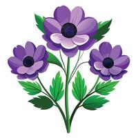Anemone Plant with Purple Flowers and Green Leaves in a Garden Setting vector