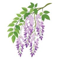 Wishbone Flower with Pink Flowers and Green Leaves in a Garden Setting vector