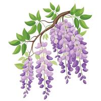 Wishbone Flower with Yellow Flowers and Green Leaves in a Garden Setting vector