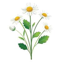 Delicate Flower with Yellow Petals and Green Leaves in a Garden Setting vector