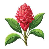 Vibrant Torch Ginger Plant with Brightly Colored Flowers and Leaves in a Natural Setting vector