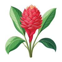 Intricate Details of a Torch Ginger Plant in a Natural Setting with Wildflowers and Butterflies vector